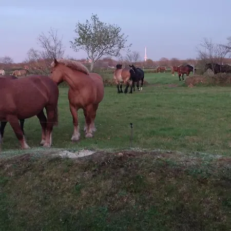 Am Ringwall 76 別荘