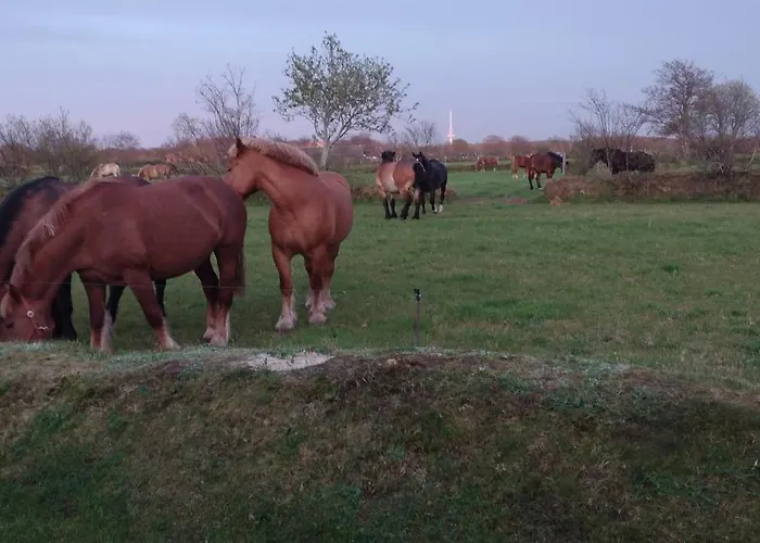 Am Ringwall 76 別荘